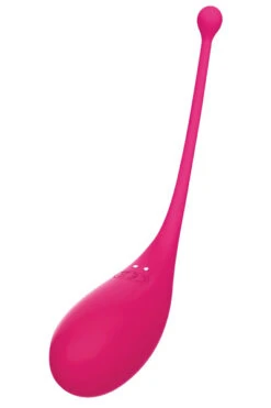 Vibrerend Ei Vibrator - Bedieneng Via App