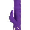 Entice Rabbit Vibrator Paars - Pulserend - Op-en-neer G Spot