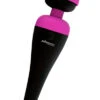 Palmpower - Recharge Wand Massager -Sensueel Winkel E23978
