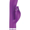B Swish - Bwild Classic Bunny Rabbit Vibrator Paars -Sensueel Winkel E27333